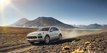 Two Porsche Cayenne Houston TX